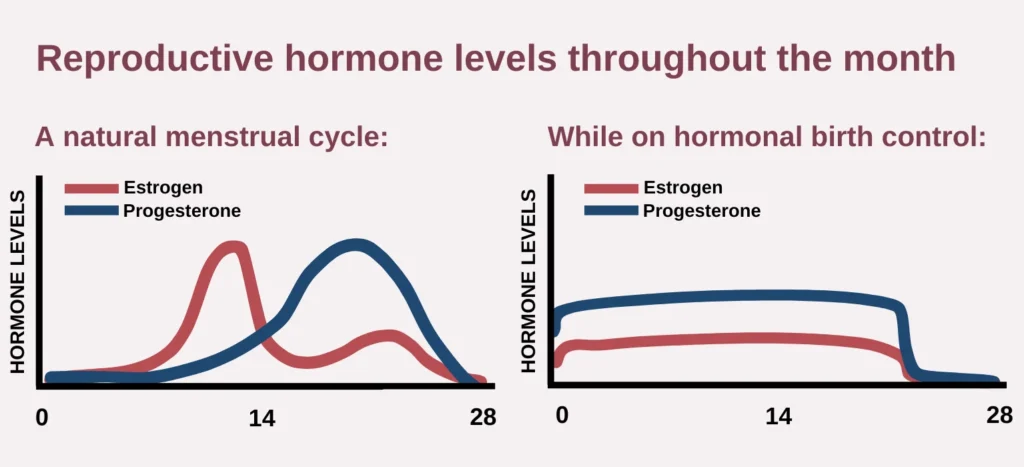 A comparison of reproductive hormone levels throughout a natural menstrual cycle and while on hormonal birth control. The graph on the left shows the fluctuating levels of estrogen and progesterone during a typical 28-day cycle, with a peak in estrogen just before ovulation and a surge in progesterone after ovulation. The graph on the right demonstrates the stable levels of estrogen and progesterone maintained by hormonal birth control.